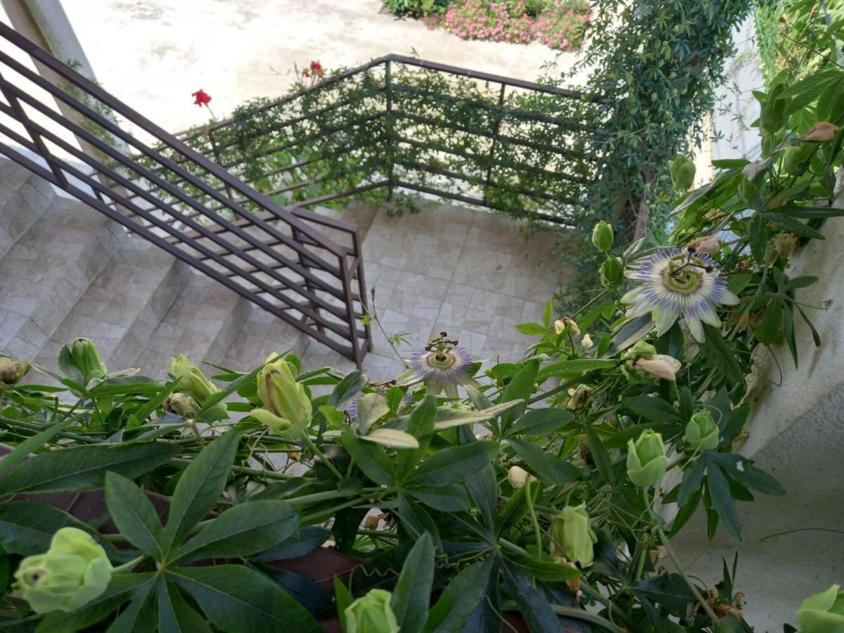 Flamingo Hotel Anaklia Exterior photo